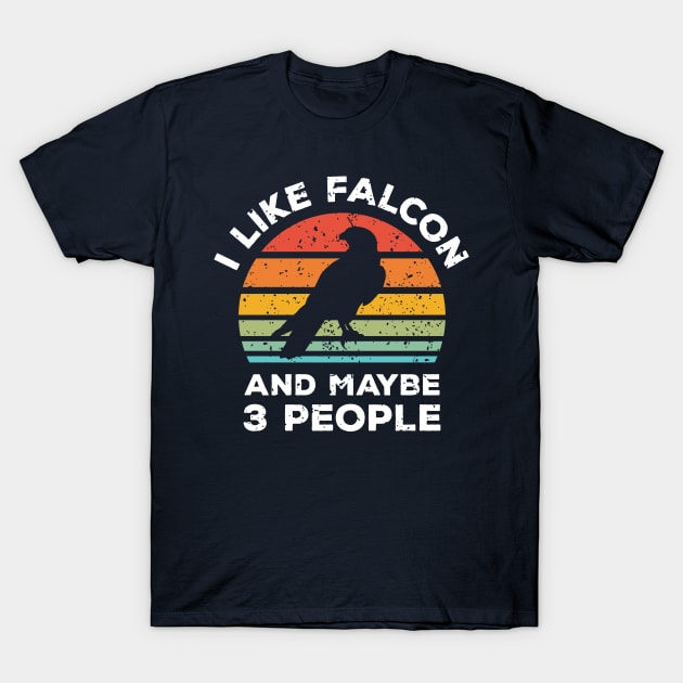 I Like Falcon and Maybe 3 People, Retro Vintage Sunset with Style Old Grainy Grunge Texture T-Shirt by Ardhsells